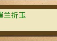 摧兰折玉