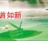 白首如新