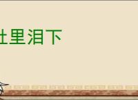 肚里泪下