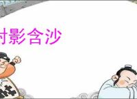 射影含沙
