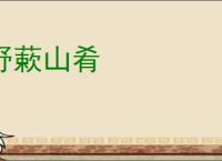 野蔌山肴