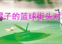 黑子的篮球街头对决2025最新礼包码,黑子的篮球街头对决福利兑换码汇总