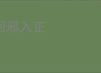 回邪入正