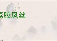鸾胶凤丝