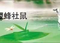 稷蜂社鼠