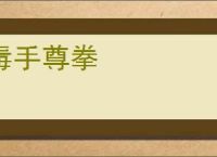 毒手尊拳