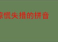 惊慌失措的拼音