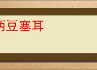 两豆塞耳
