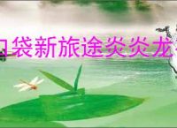 口袋新旅途炎炎龙有哪些形态,口袋新旅途炎炎龙不同形态说明