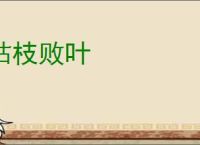 枯枝败叶
