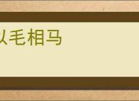以毛相马