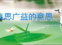 集思广益的意思