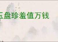 玉盘珍羞值万钱
