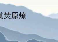 巢焚原燎