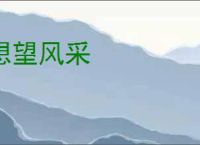 想望风采