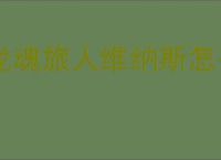 龙魂旅人维纳斯怎么配队,龙魂旅人维纳斯阵容搭配推荐