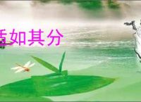 适如其分
