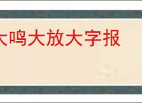 大鸣大放大字报