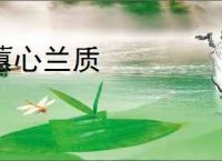 蕙心兰质