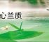 蕙心兰质