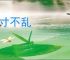 方寸不乱