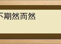 不期然而然