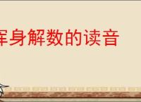 浑身解数的读音