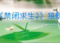 《禁闭求生2》狼蛛打法介绍