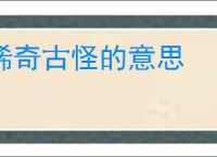 稀奇古怪的意思