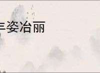 丰姿冶丽