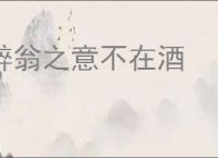 醉翁之意不在酒