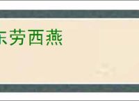 东劳西燕