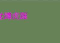 龙蹲虎踞