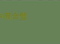 中西合璧