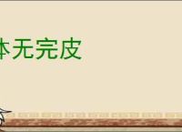 体无完皮