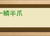 一鳞半爪