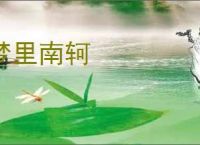 梦里南轲