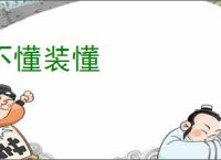 不懂装懂