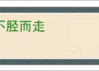 不胫而走