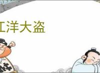 江洋大盗