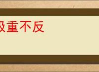 极重不反