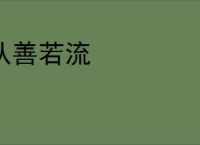 从善若流