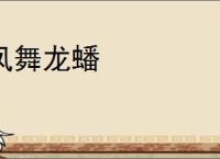 凤舞龙蟠