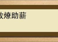 救燎助薪