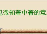 见微知著中著的意思