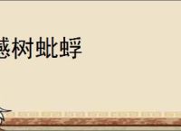 撼树蚍蜉