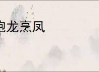 砲龙烹凤
