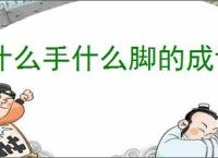 什么手什么脚的成语