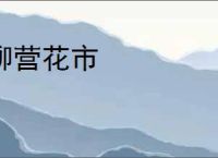 柳营花市