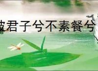 彼君子兮不素餐兮